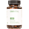 CBD Curcuma - CBD Ölkapseln mit Curcuma